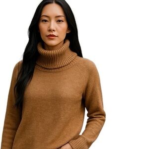 Artizia Wilfred Free Sweater Brown XS fits like Small Alpaca Wool Cowl Neck Cozy